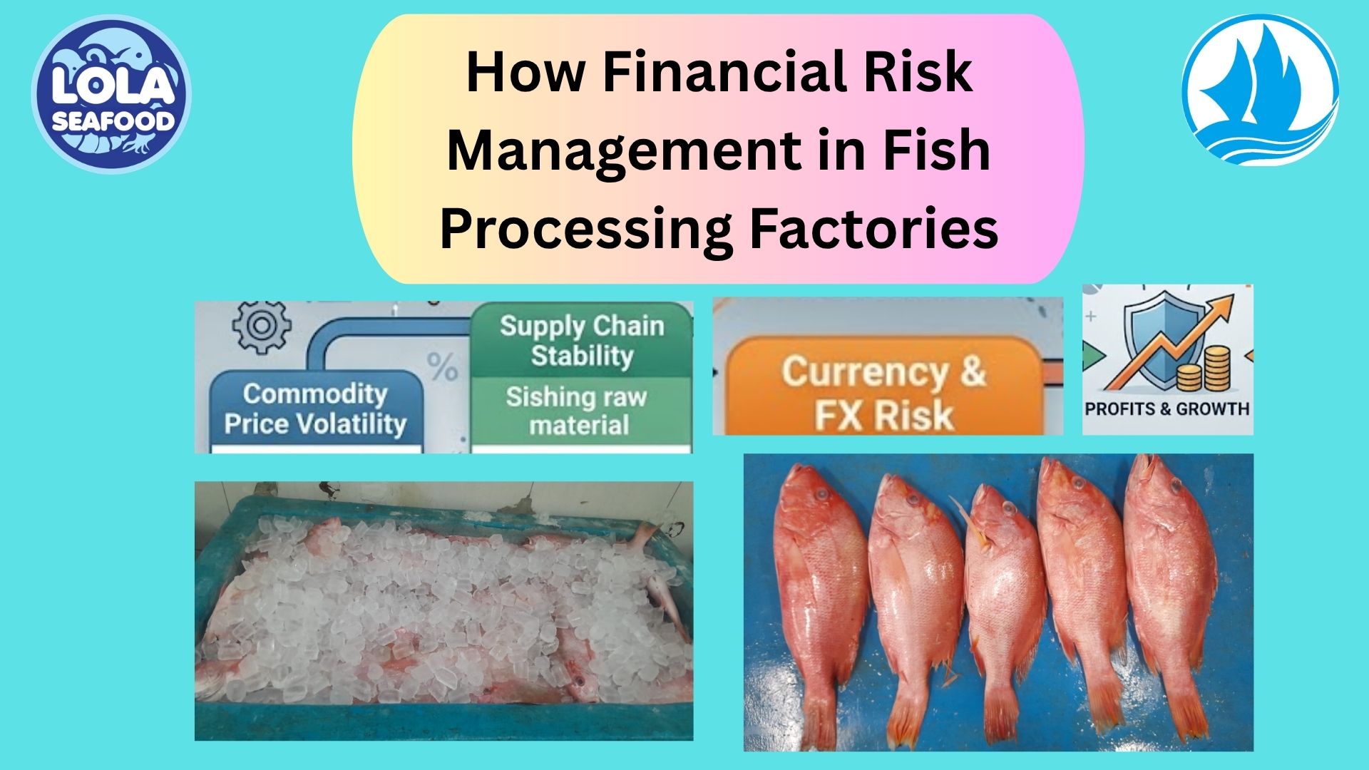  How Financial Risk Management in Fish Processing Factories
